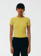 Canary Yellow